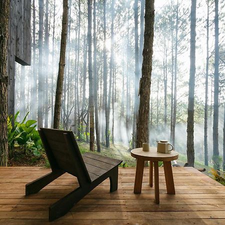 Mo Stay - Forest Resort Da Lat Zewnętrze zdjęcie