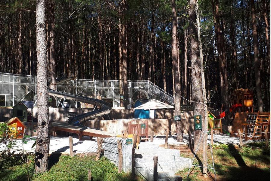 Mo Stay - Forest Resort Da Lat Zewnętrze zdjęcie