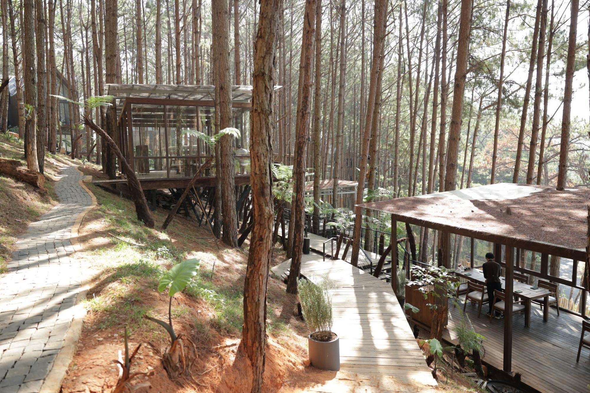 Mo Stay - Forest Resort Da Lat Zewnętrze zdjęcie
