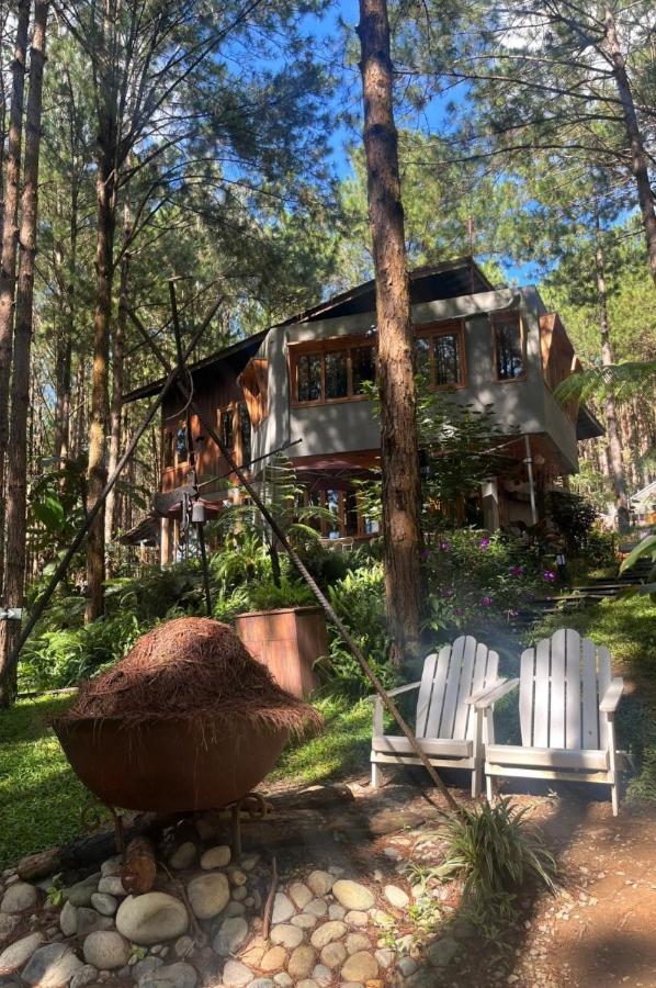 Mo Stay - Forest Resort Da Lat Zewnętrze zdjęcie