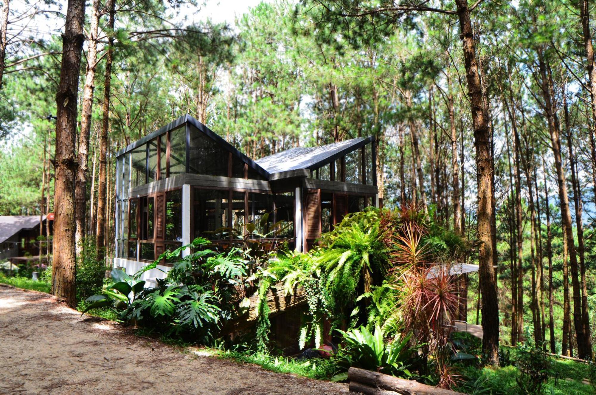 Mo Stay - Forest Resort Da Lat Zewnętrze zdjęcie